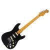 CHITARRA ELETTRICA FENDER STRATOCASTER CUSTOM SHOP DAVID GILMOUR SIGNATURE (RELIC)