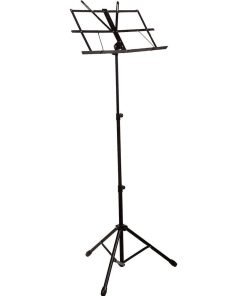 LEGGIO PROFESSIONALE PROEL RSM600