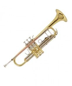 TROMBA IN SIB BACH TR-501 GOLD