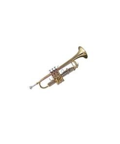 TROMBA SOUNDSATION IN Bb/SIb STPGD-10 GOLD