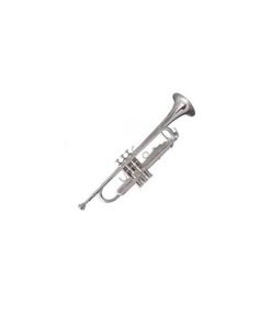 TROMBA SOUNDSATION IN Bb/SIb STPSL-10 SILVER