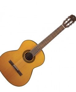 CHITARRA CLASSICA TAKAMINE GC1 NAT