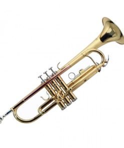 TROMBA BACH TR-655D SIb LACCATA CON ASTUCCIO GOLD