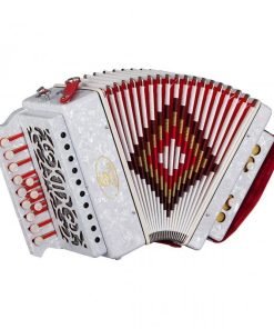ORGANETTO SOUNDSATION SAC-1202D-WH IN Re/D (2 BASSI)