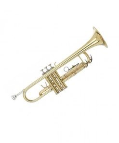 TROMBA IN SIb IDA MARIA GRASSI GR STR500 GOLD