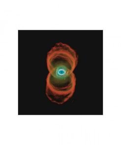 VINILE Pearl Jam BINAURAL