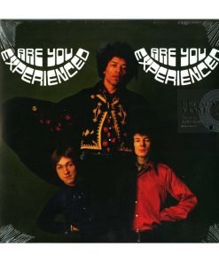 VINILE Jimi Hendrix ARE YOU EXPERIENCED
