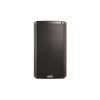 DIFFUSORE AMPLIFICATO ALTO PROFESSIONAL TRUESONIC TS312