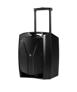 DIFFUSORE AMPLIFICATO PROEL V12FREE