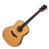 CHITARRA ACUSTICA ELETTRIFICATA TAYLOR Builder's Edition 717e NATURAL