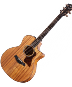 CHITARRA ACUSTICA ELETTRIFICATA TAYLOR 724ce