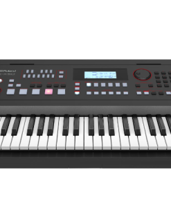 TASTIERA ARRANGER  ROLAND E-X50