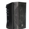 DIFFUSORE AMPLIFICATO ZZIPP 8" ALL-IN-ONE