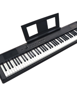 PIANO DIGITALE FBT ECHORD DP1 Black