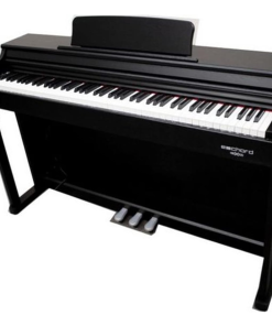 PIANO DIGITALE FBT ECHORD DPX100  NERO SATINATO