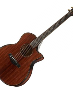 CHITARRA ACUSTICA TAYLOR 914ce  builder' s edition