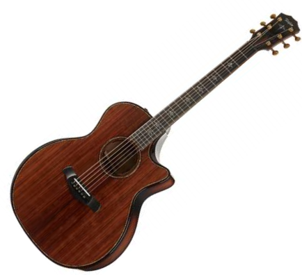 CHITARRA ACUSTICA TAYLOR 914ce builder' s edition