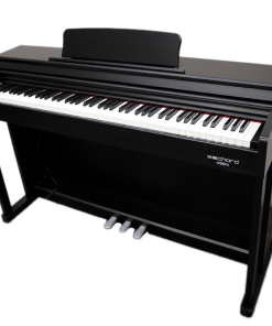 PIANO DIGITALE FBT ECHORD DPX100 NERO LUCIDO