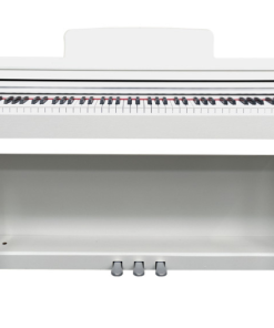 PIANO DIGITALE FBT ECHORD DPX100 BIANCO LUCIDO