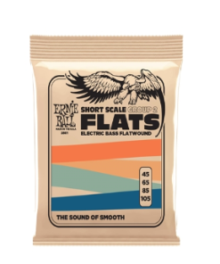 CORDIERA PER BASSO ELETTRICO ERNIE BALL 2801 Short Scale group 2 Flats  45-105