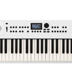 TASTIERA SINTETIZZATORE ROLAND GO:Keys 5 WHITE