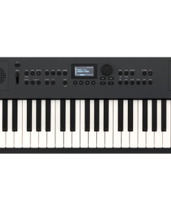 TASTIERA SINTETIZZATORE ROLAND GO:Keys 5 GRAPHITE