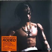 VINILE TRAVIS SCOTT Rodeo