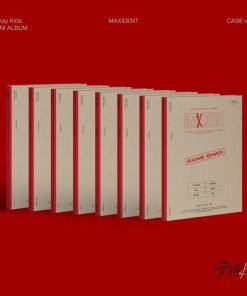 CD Stray Kids Maxident (Photobook)