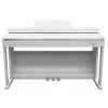 PIANO DIGITALE FBT ECHORD DPX100  BIANCO SATINATO