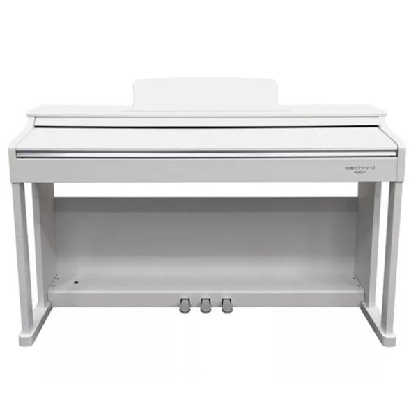 PIANO DIGITALE FBT ECHORD DPX100 BIANCO SATINATO