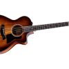 CHITARRA ACUSTICA ELETTRIFICATA TAYLOR 222CE-K DELUXE