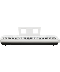 PIANO DIGITALE FBT ECHORD DP1 WHITE