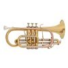 CORNETTA BACH CR-651 SIb LACCATA CON ASTUCCIO