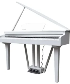 CODINO PIANO DIGITALE FBT ECHORD GP-10  BIANCO